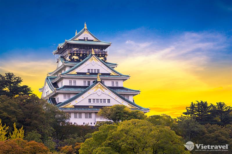 Nhật Bản: Tokyo- Núi Phú Sĩ- Kyoto-Osaka Mùa lá vàng lá đỏ 